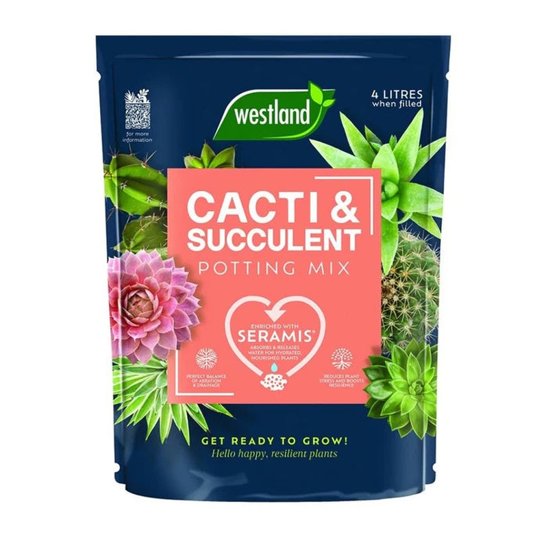 Westland Cacti & Succulent Potting Mix 4L