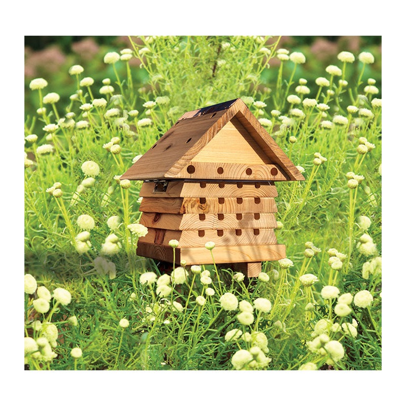 Interactive Solitary Bee Hive Flip Top