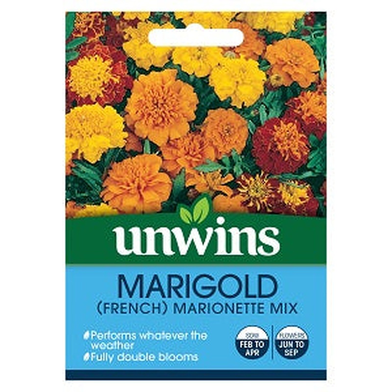 Marigold French Marionette Mix