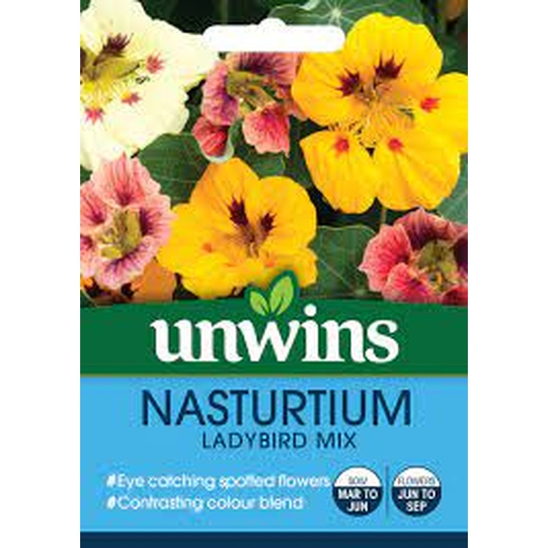 Nasturtium Ladybird Mix