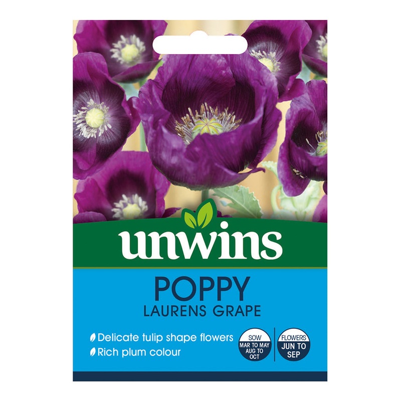 Poppy Lauren s Grape