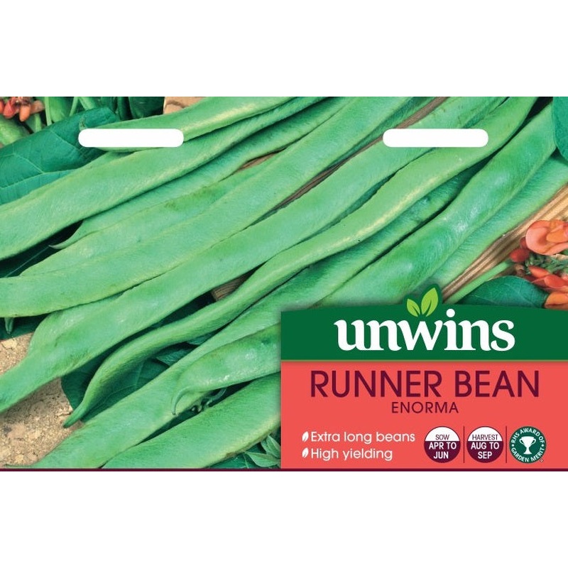 Runner Bean Enorma