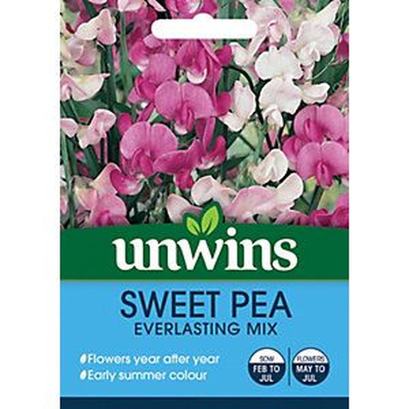 Sweet Pea Everlasting Mix