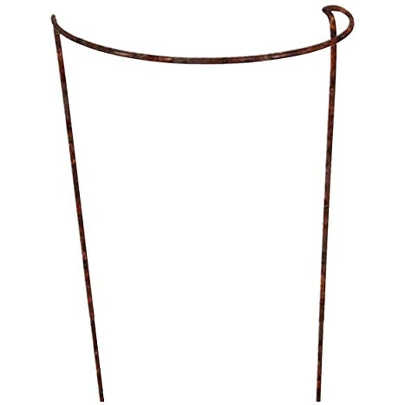 H/D Rust plant supports medium