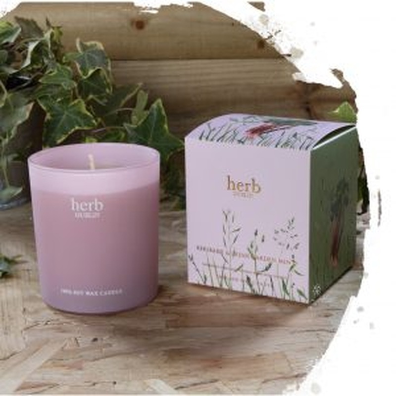 HERB RHUBARB BOXED CANDLE