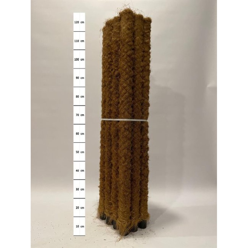 Mosspole  120 CM 1 Pole
