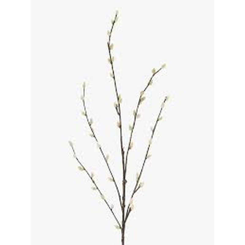 Pussy Willow Spray 100cm