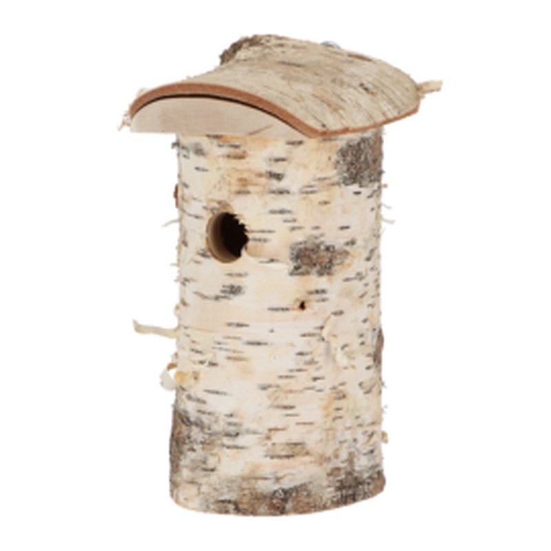Bird house birch