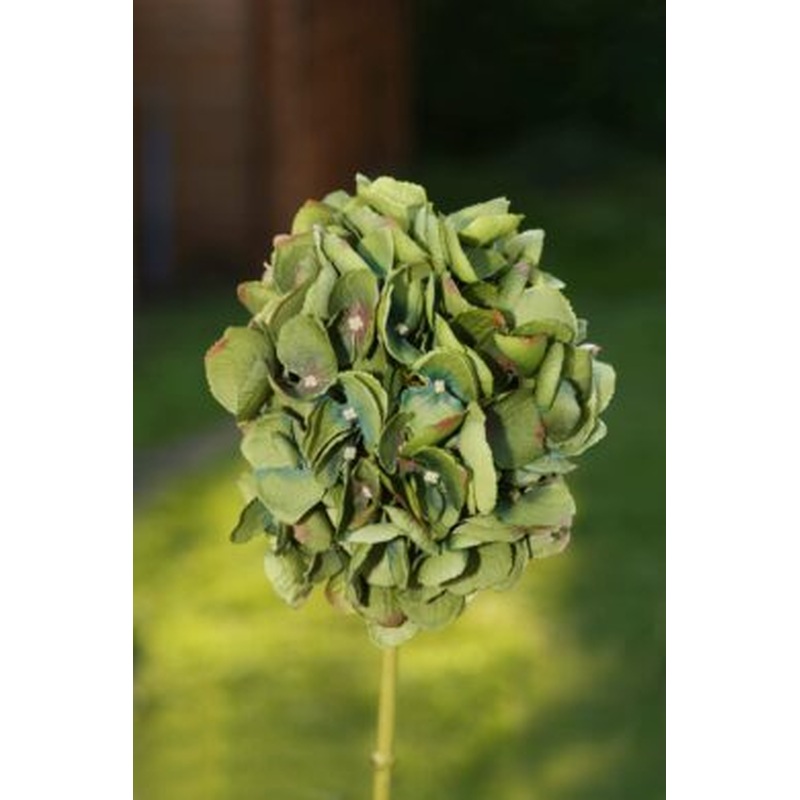 Hydrangea Dark Green Short Stem