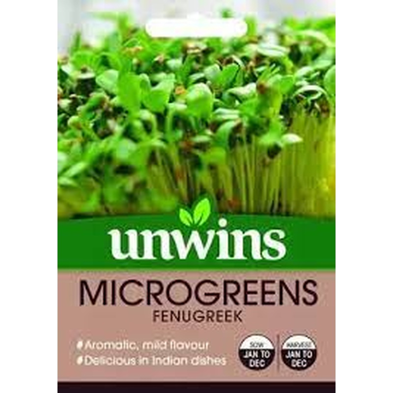 Microgreens Fenugreek