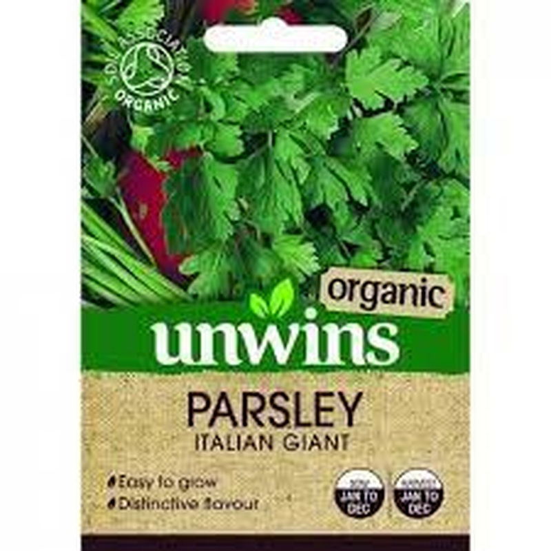 Parsley Italian Giant Organic