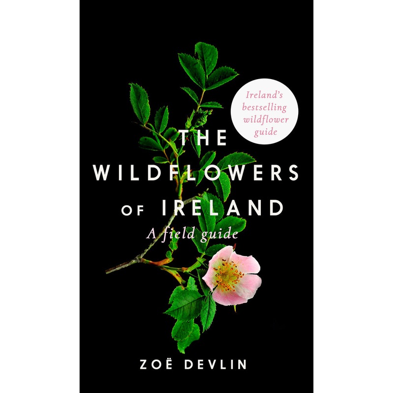 The Wildflowers of Ireland
