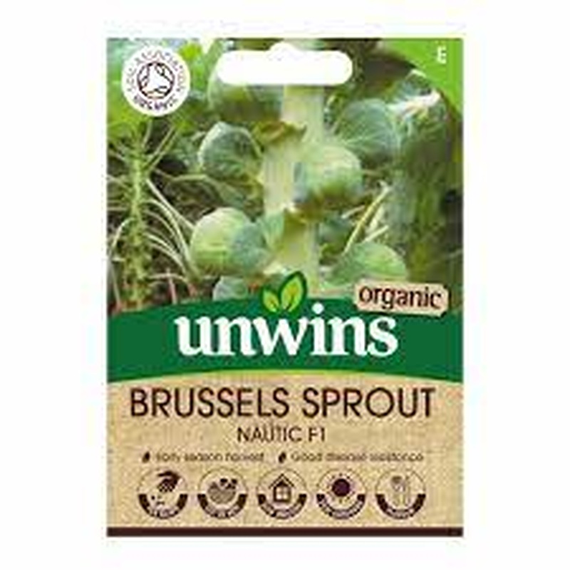 Brussels Sprout Nautic F1 (Organic)
