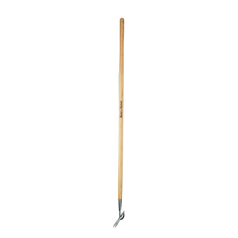 Daisy Weeder SS Long Handled