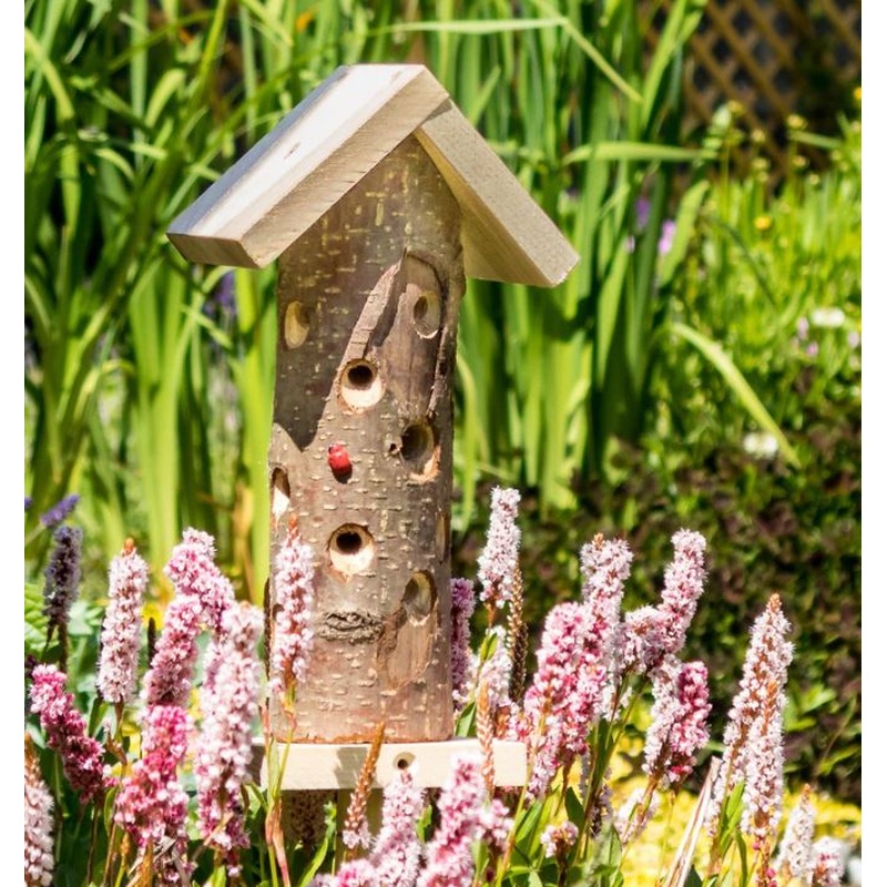 Original Ladybird tower