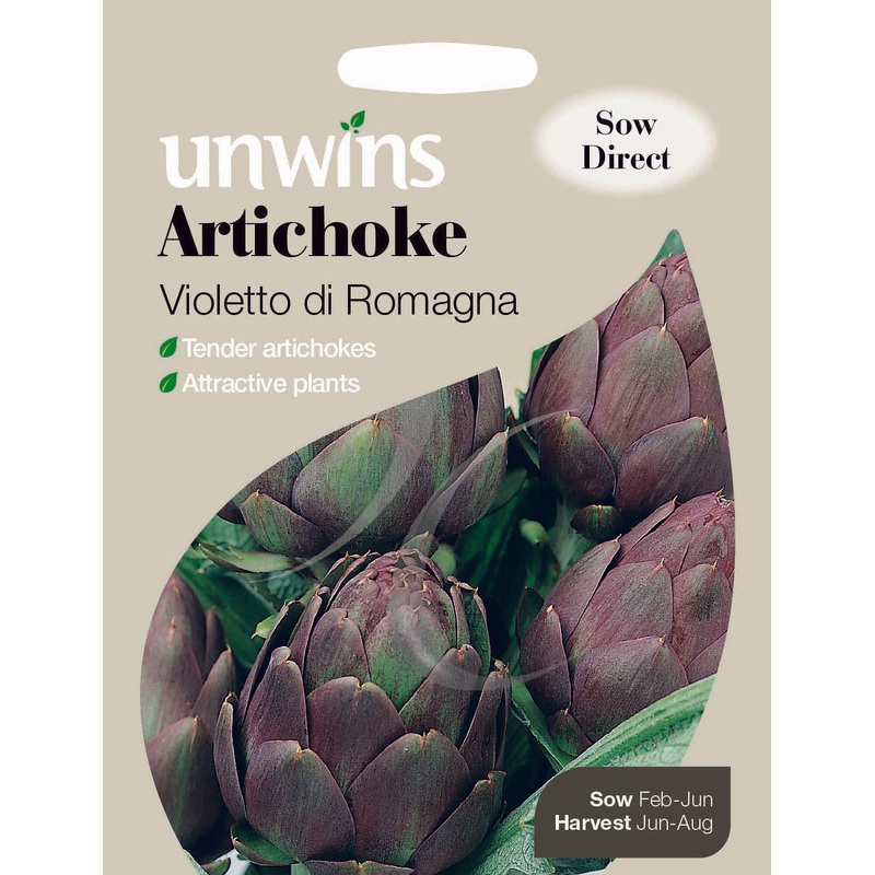 Artichoke Violetto di Romagna