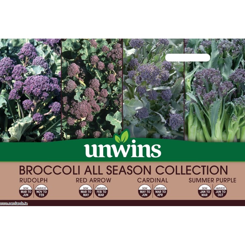 Broccoli All Season Collection