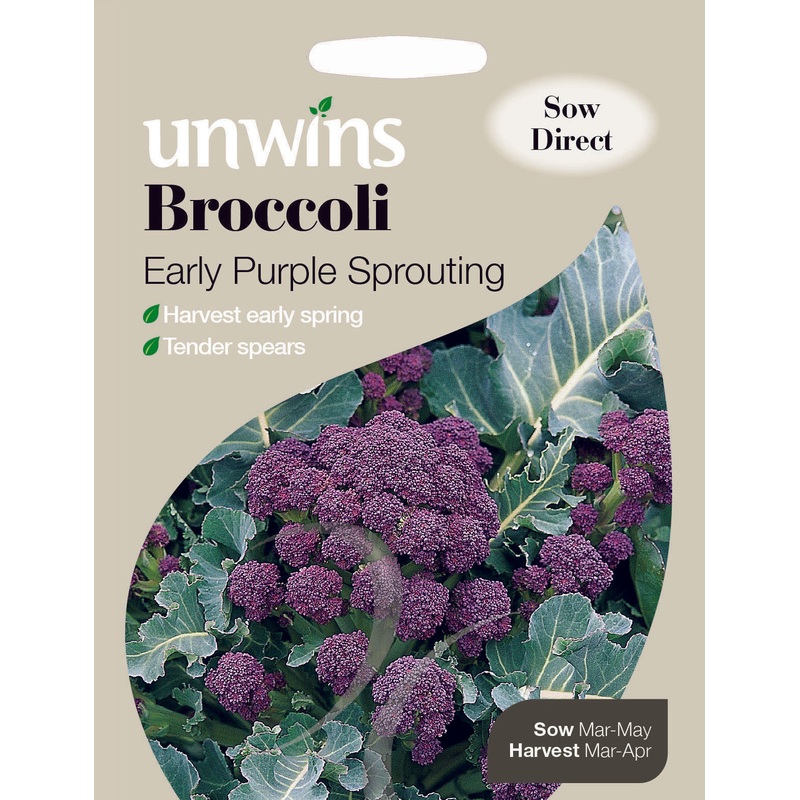 Broccoli Early Purple Sprouting