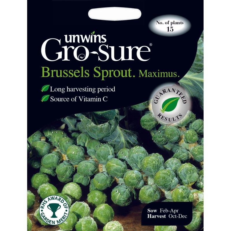 Brussels Sprout Maximus F1