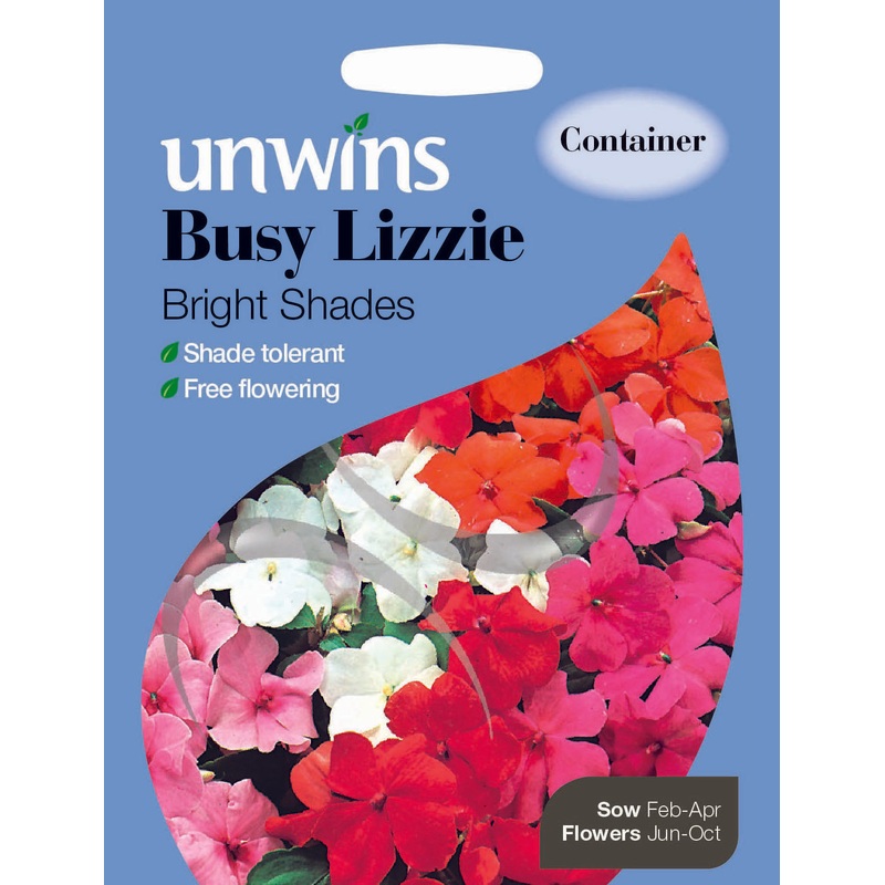 Busy Lizzie Bright Shades