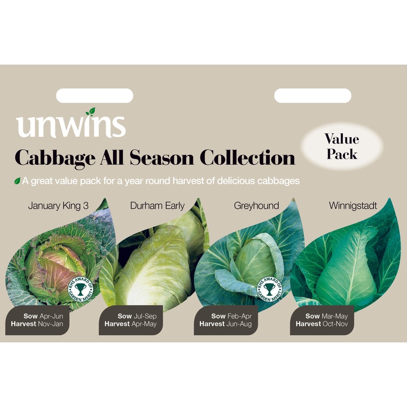 Cabbage All Season Collection