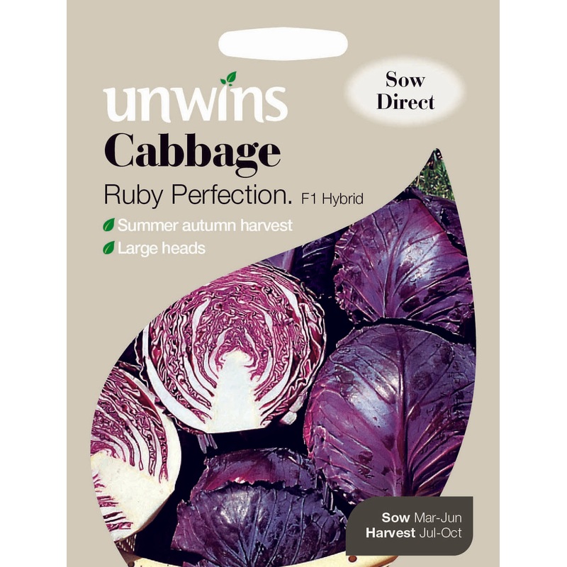 Cabbage Ruby Perfection F1
