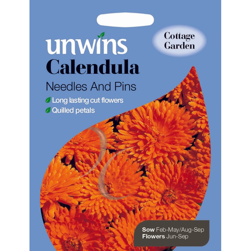 Calendula Needles And Pins