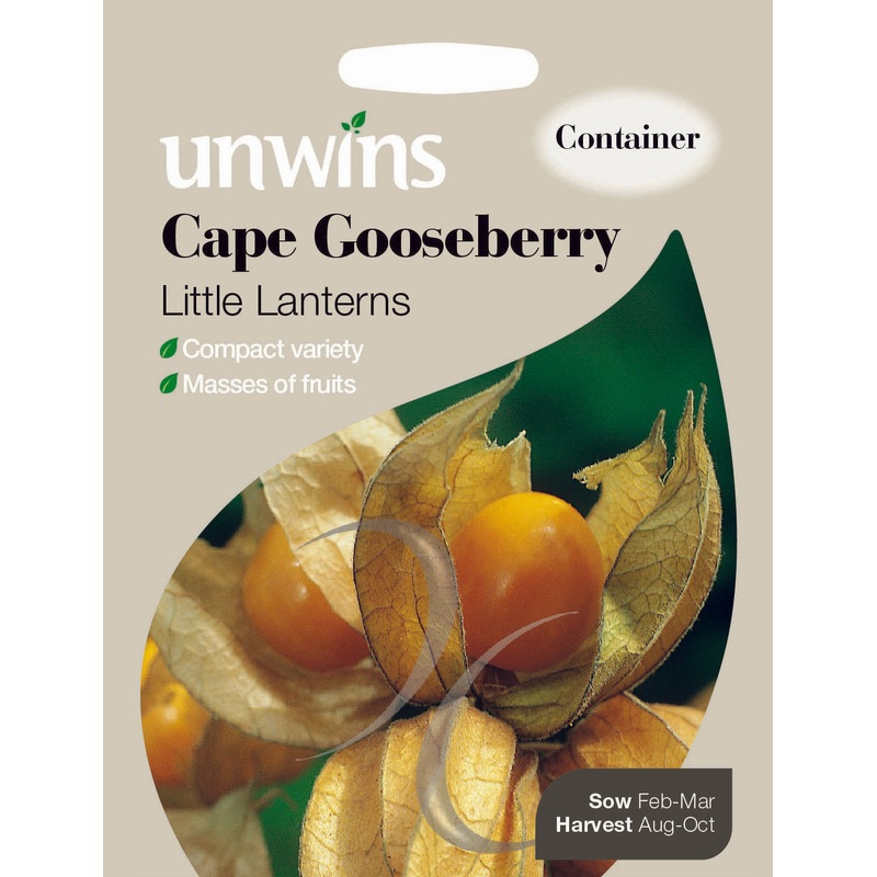 Cape Gooseberry Little Lanterns