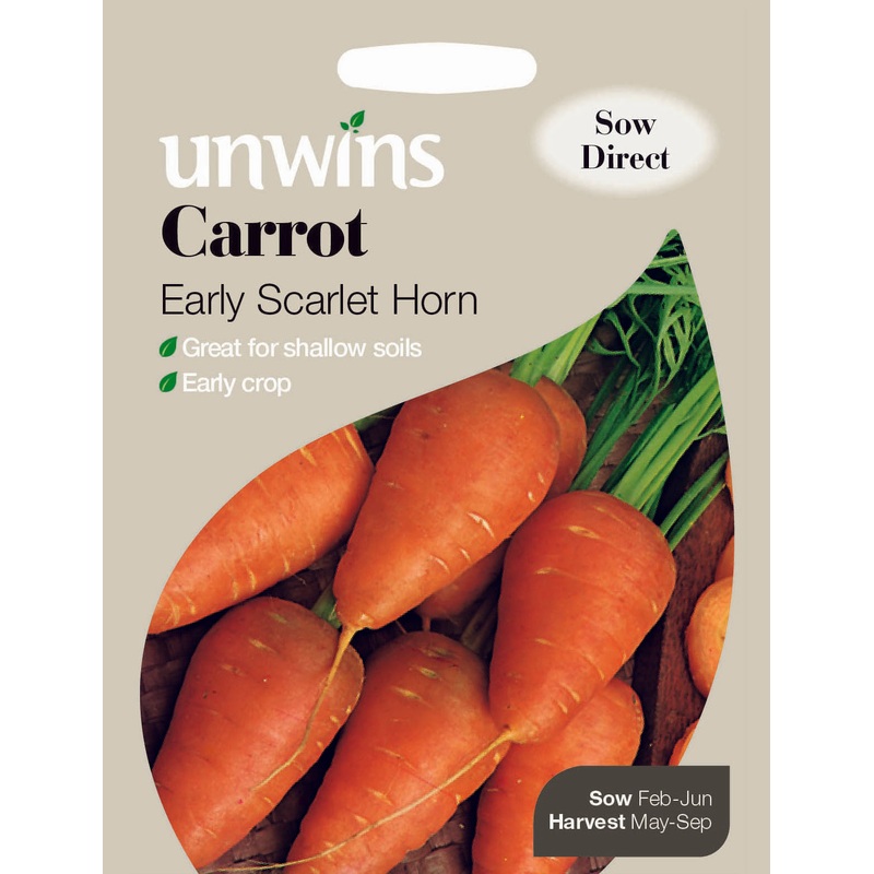 Carrot Early Scarlet Horn