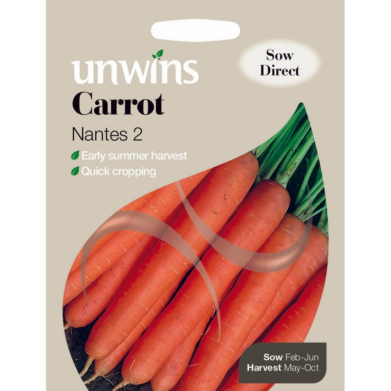 Carrot Nantes 2