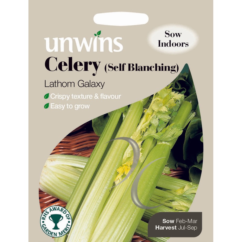 Celery Self Blanching Lathom Galaxy