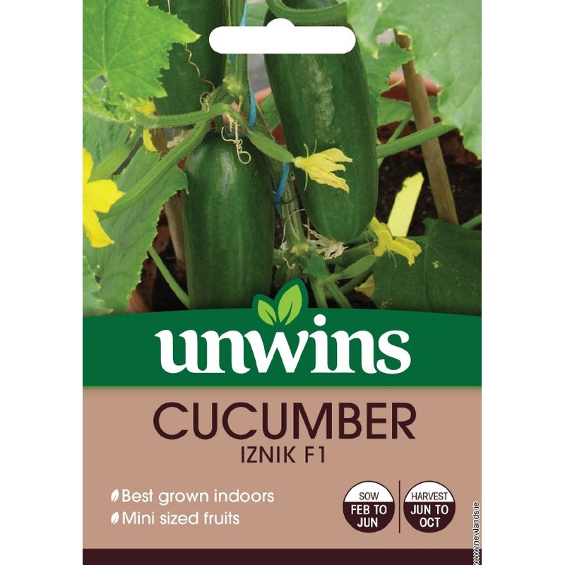 Cucumber Iznik F1