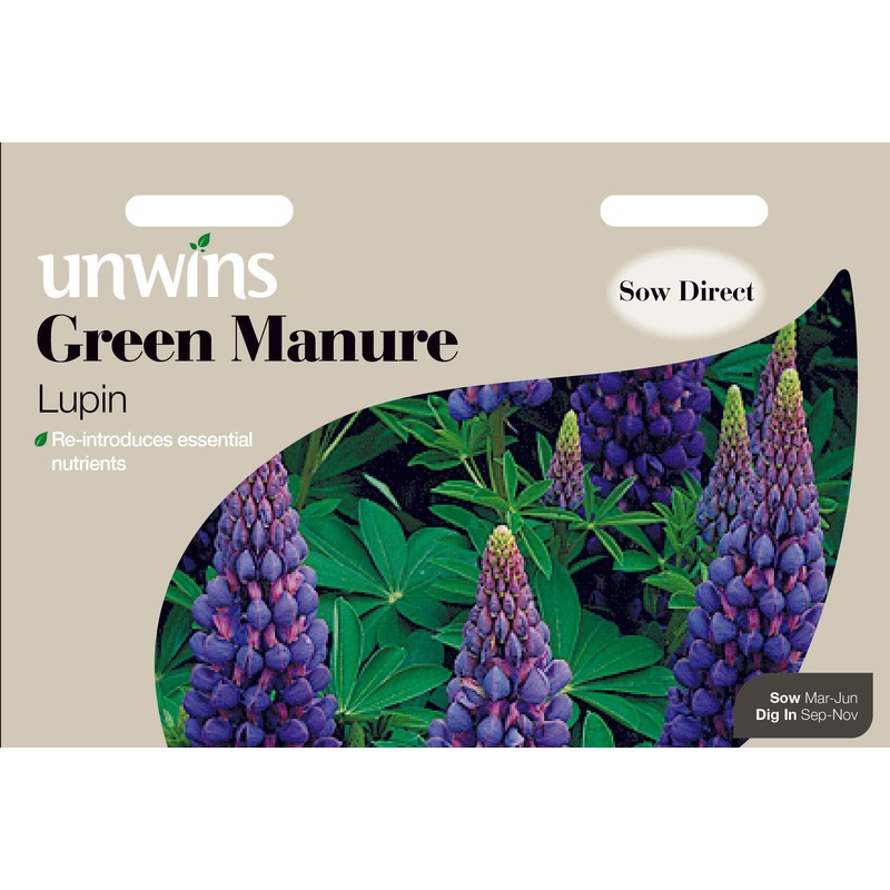 Green Manure Lupin