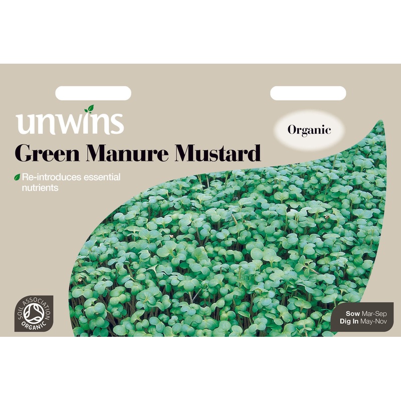 Green Manure Mustard