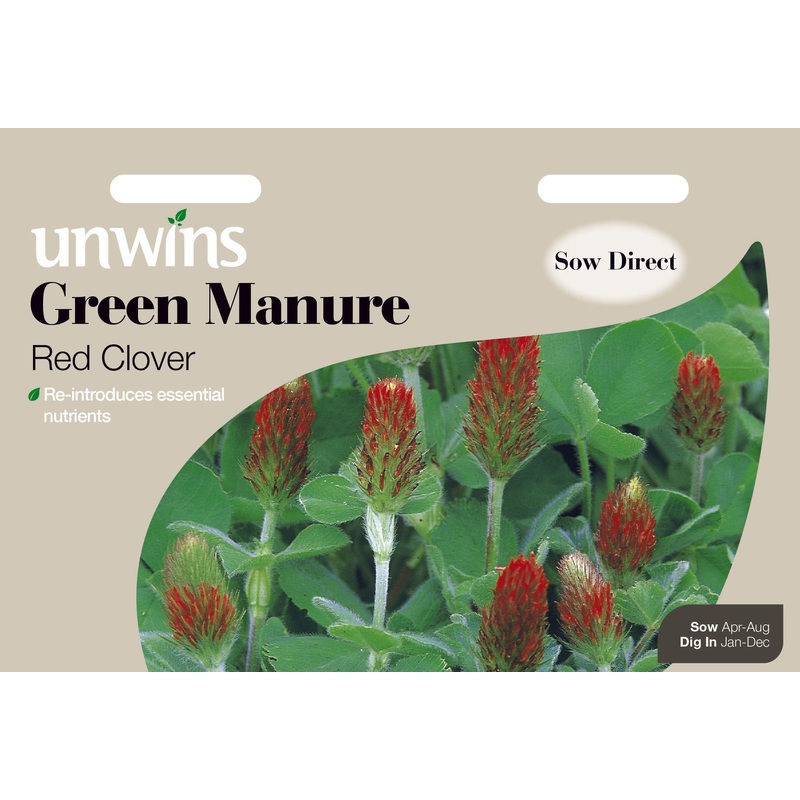 Green Manure Red Clover