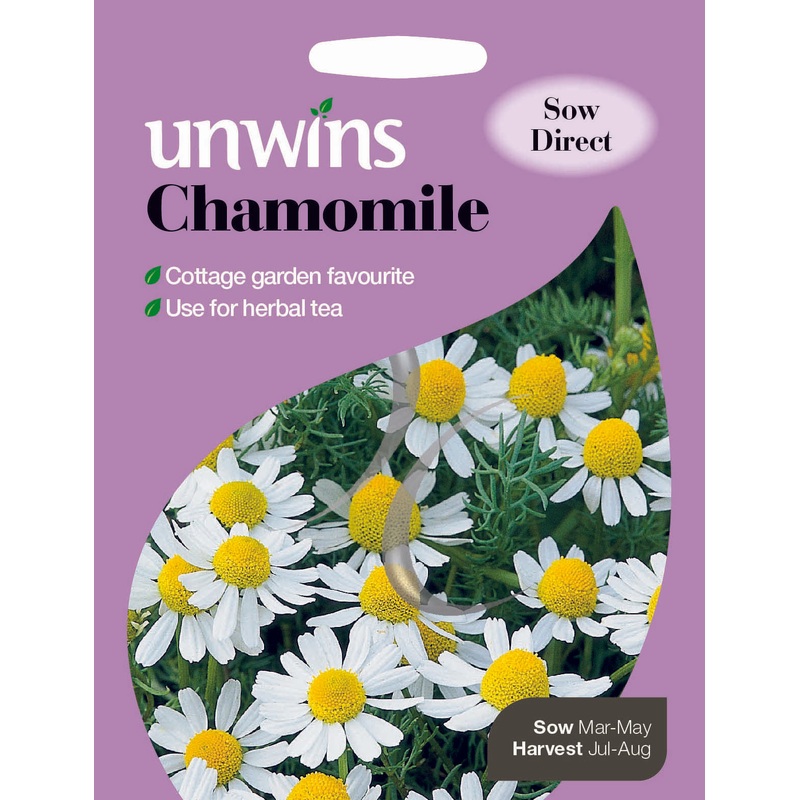 Herb Chamomile