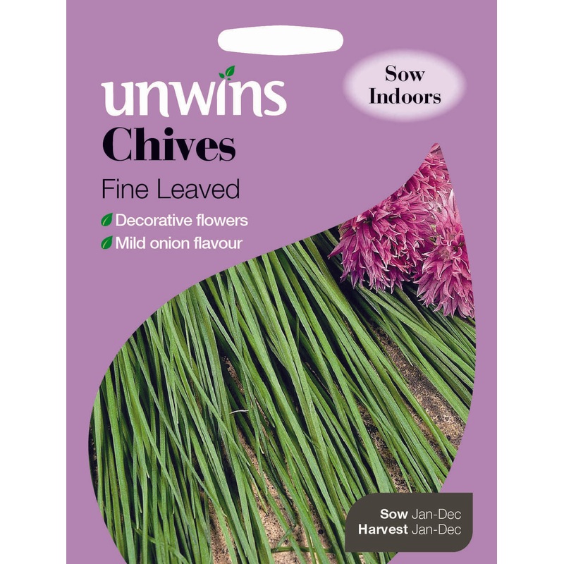 Herb Chives Fine Leaved