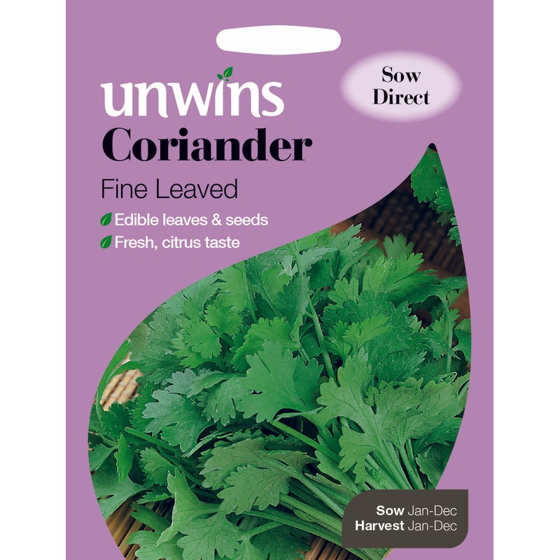 Herb Coriander Fine Leaved