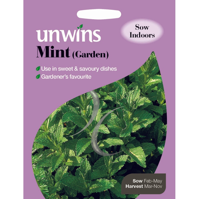 Herb Mint (Garden)