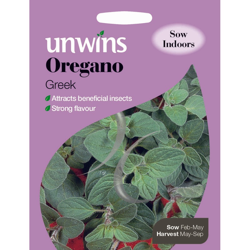 Herb Oregano Greek