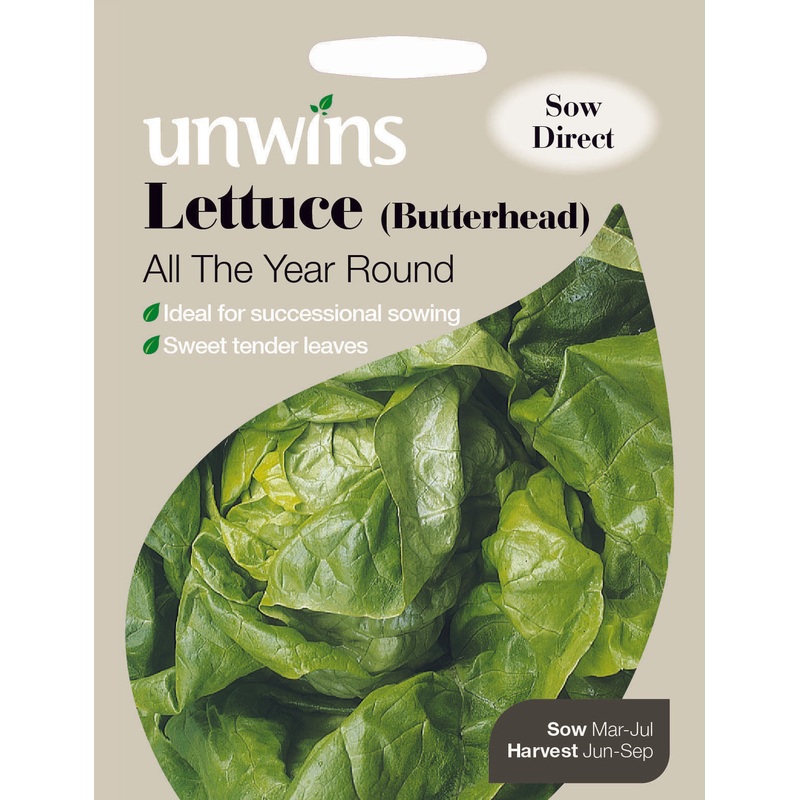 Lettuce (Buttehead) All The Year Round
