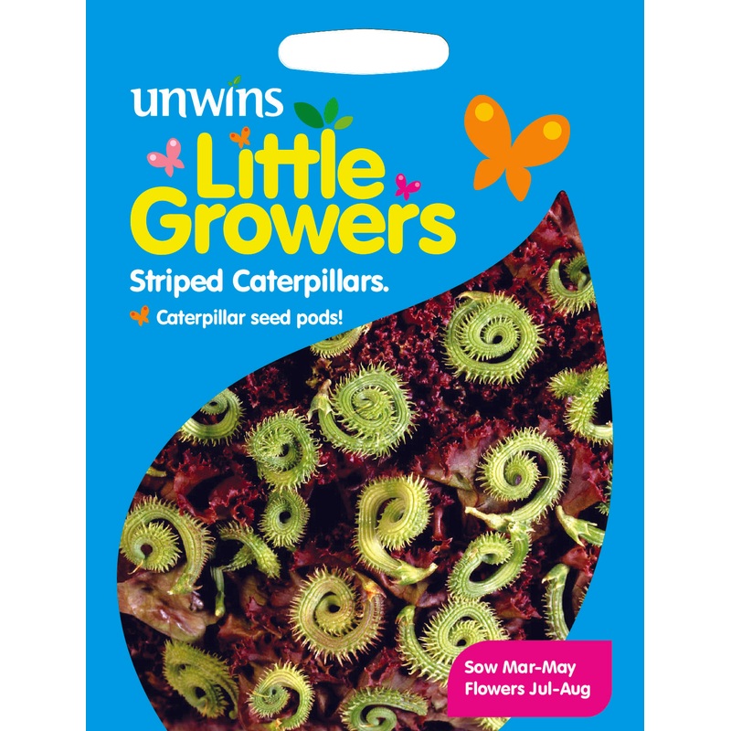 Little Growers Striped Caterpillars
