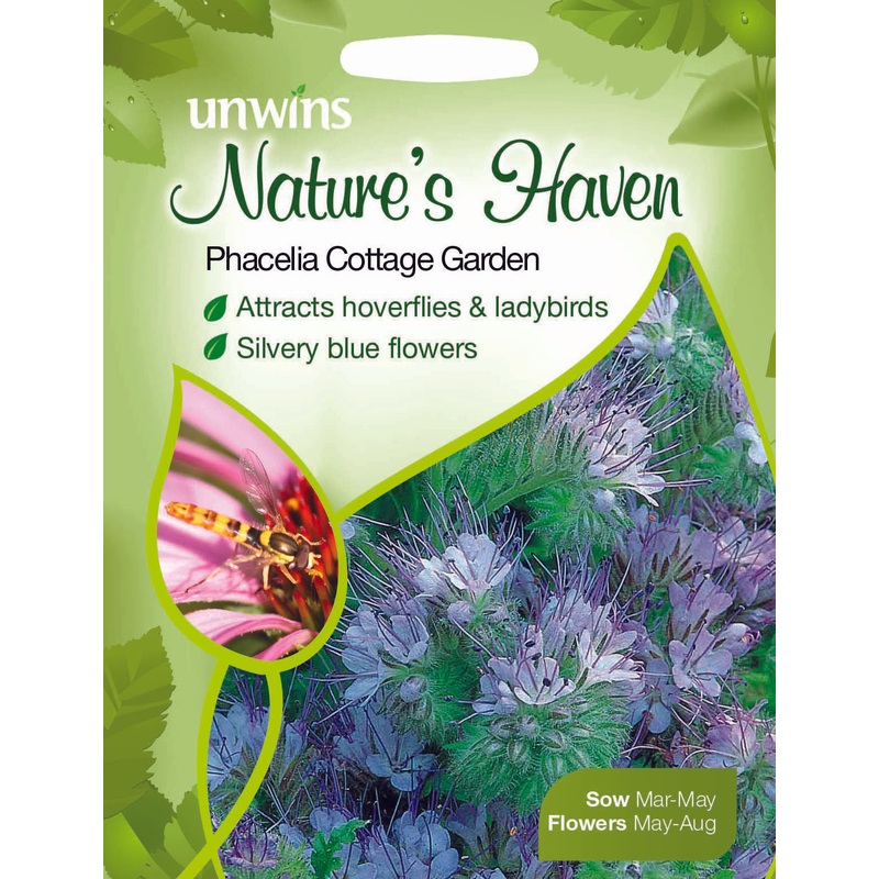 NH Phacelia Cottage Garden