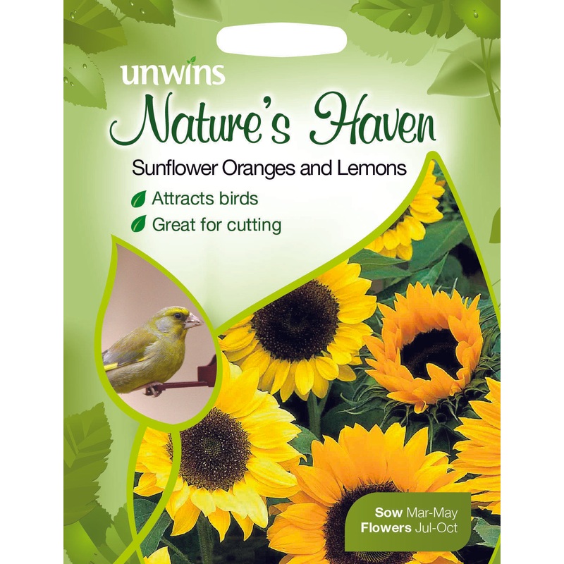 NH Sunflower Oranges and Lemons