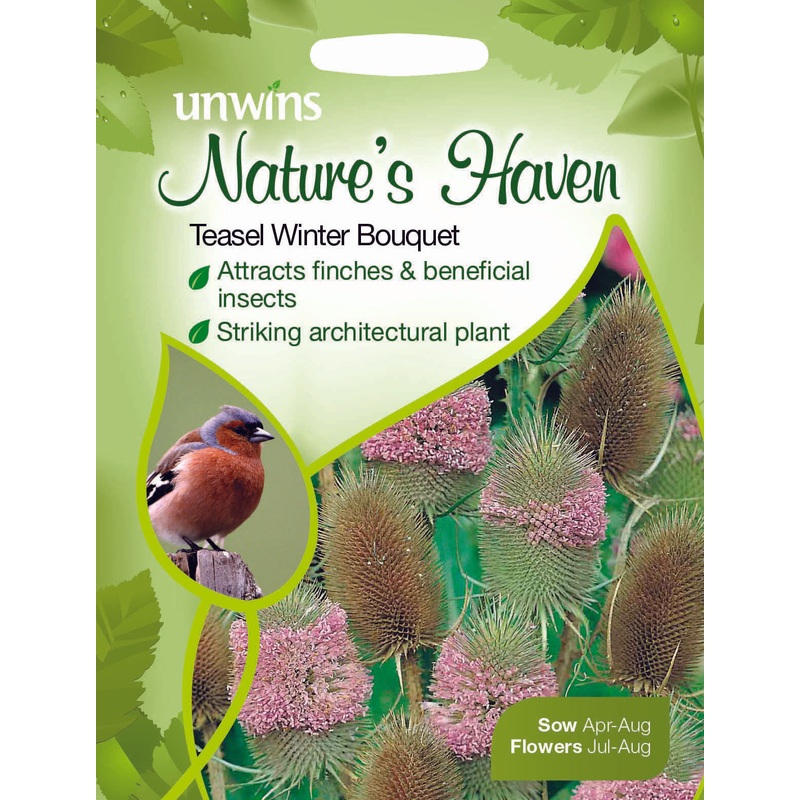 NH Teasel Winter Bouquet