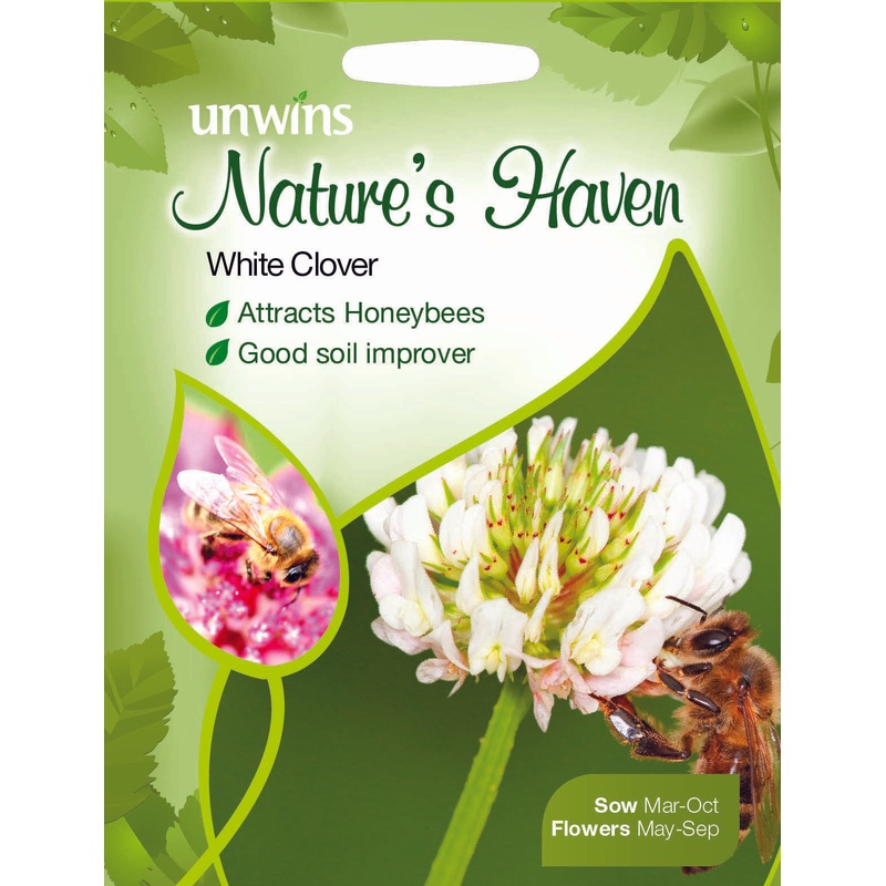 NH White Clover