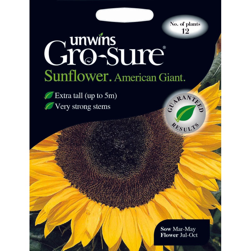 Sunflower American Giant F1