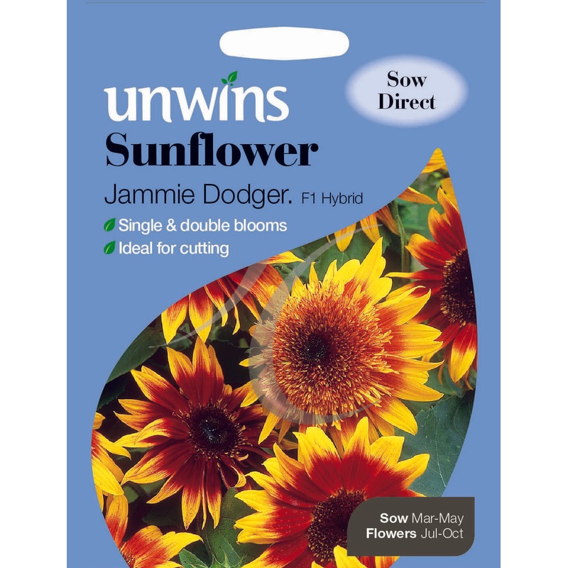 Sunflower Jammie Dodger F1