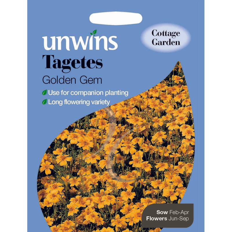Tagetes Golden Gem