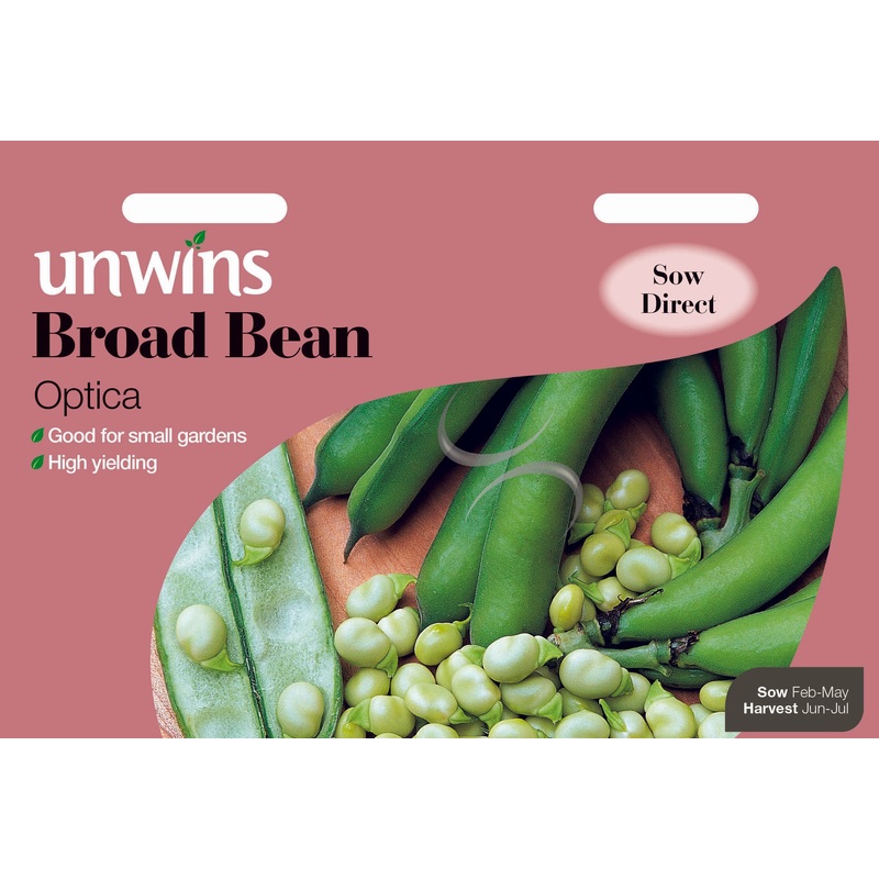 Broad Bean Optica